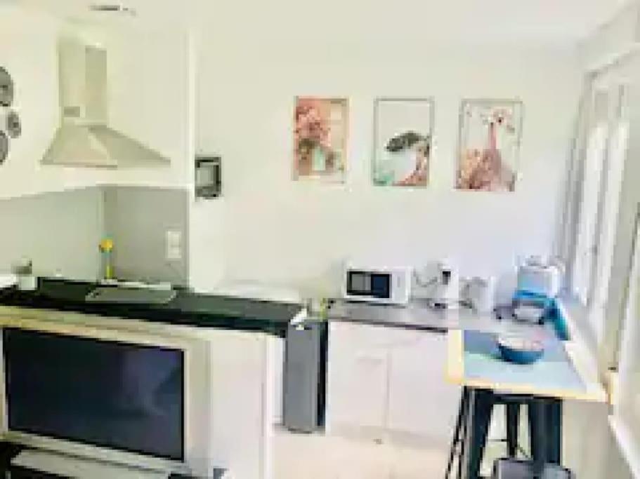 Metz Muse Studio 4 Couchages Zewnętrze zdjęcie